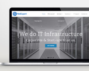 web-design-and-development-for-netexpert-singapore